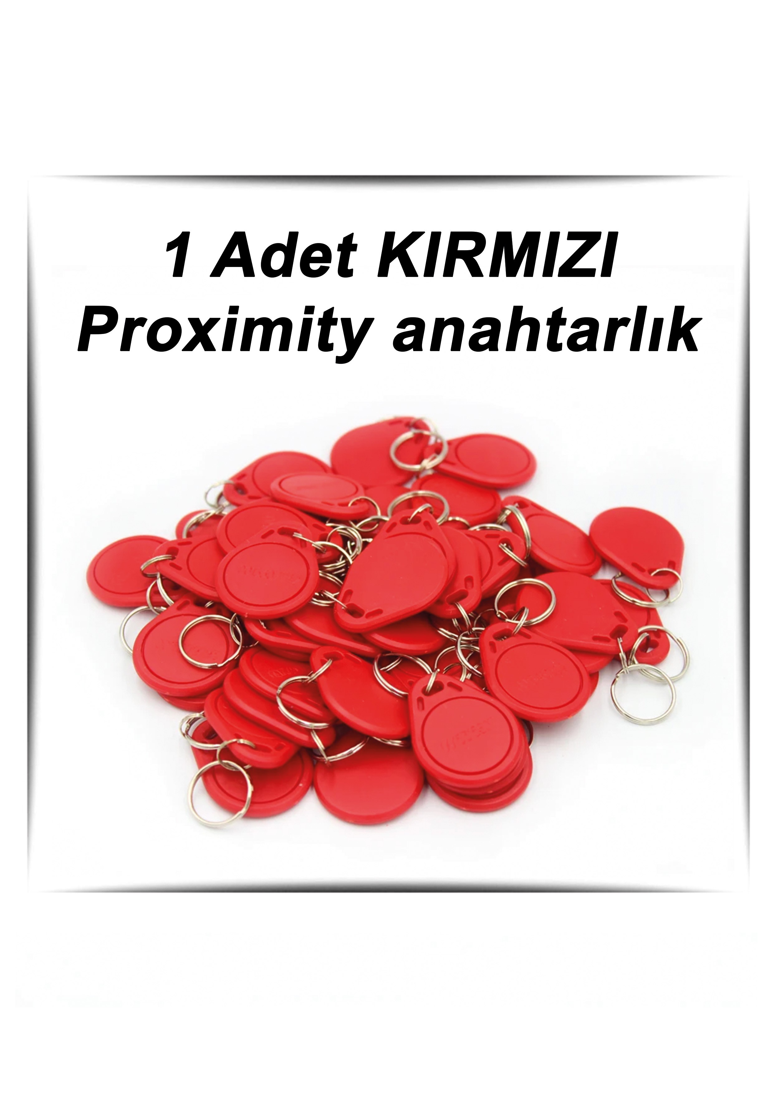 125 Khz Proximity Anahtarlıkgöstergeç Manyetik Tag